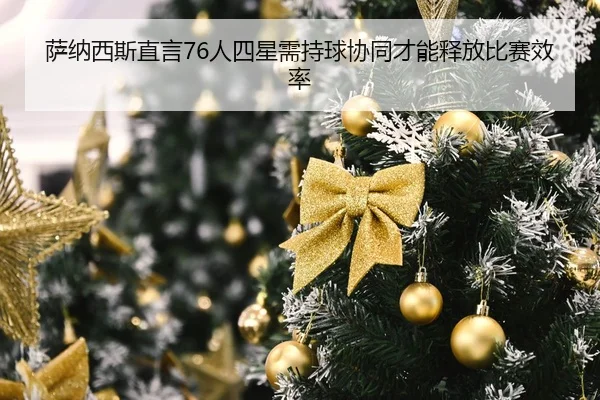 萨纳西斯直言76人四星需持球协同才能释放比赛效率